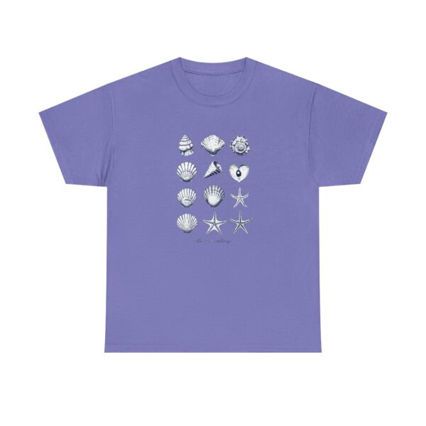Sea Shell - Image 7
